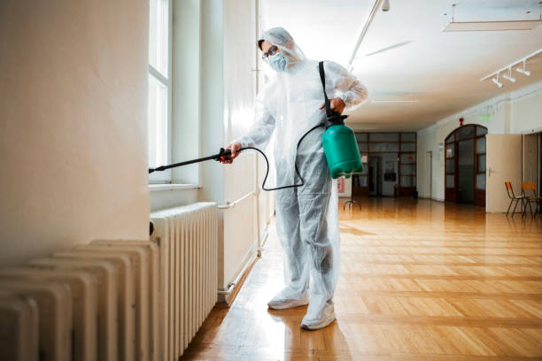 Best Pest Prevention Services  in Parkland, WA