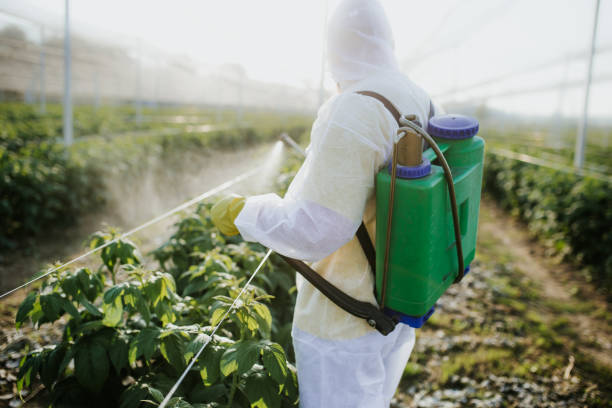 Best Best Pest Control Companies  in Parkland, WA